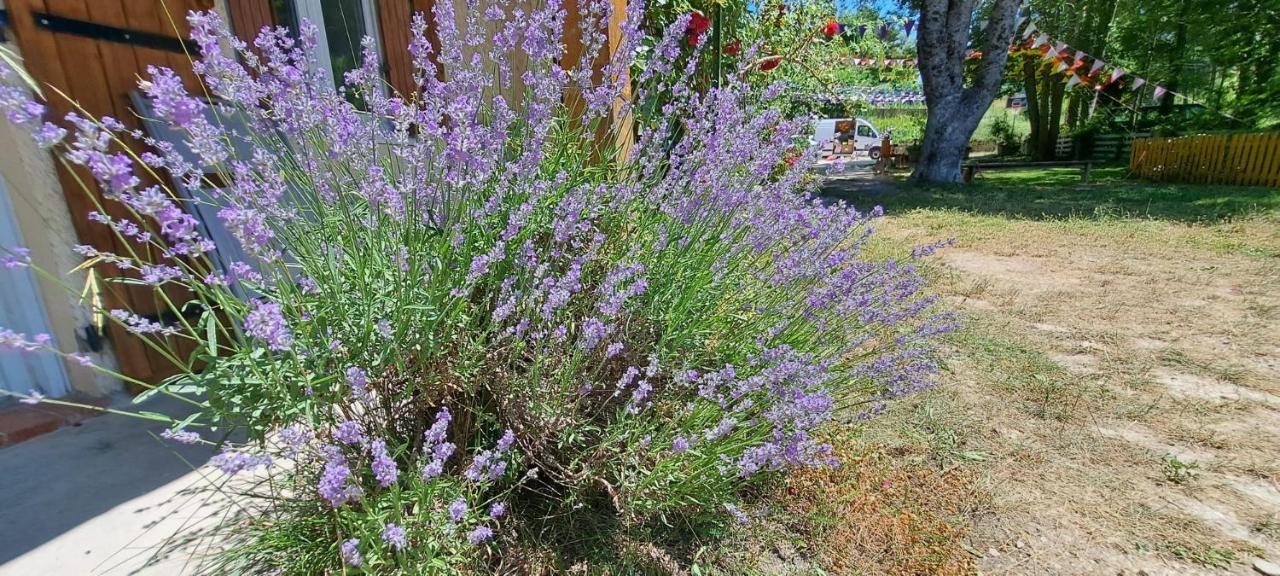 Gite De Montagne Salle De Fete Thorenc Otel Andon Dış mekan fotoğraf